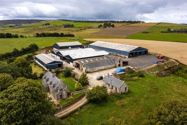 farms for sale scotland